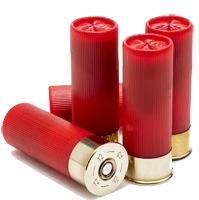 Shotgun shells